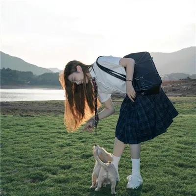狗狗史酷比